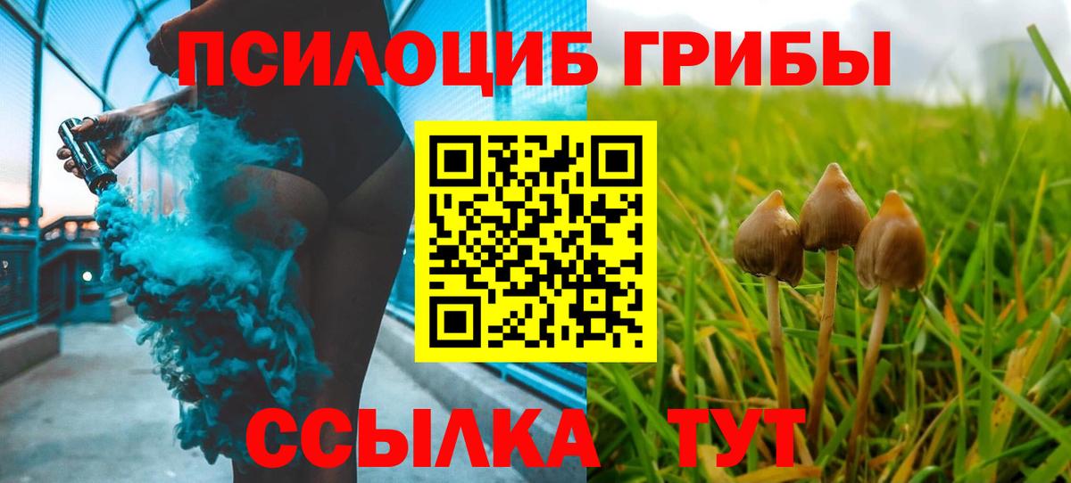 Псилоцибиновые грибы MAGIC MUSHROOMS  Вход с VPN  Куйбышев 